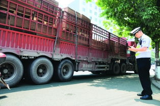 成都貨運汽車入城證競價創新高，52萬元引發行業深層思考