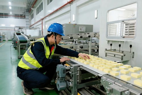 一條產線，決定一口食品的安全——食品廠生產線設備安裝的工程底線